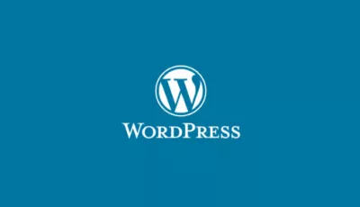 Get any WordPress Issue/Problem fixed