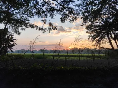 Provide High-Quality Nature Photos for Your Needs